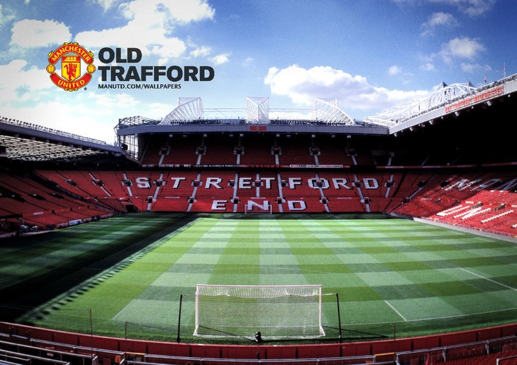 来以顽强的 来以顽强的