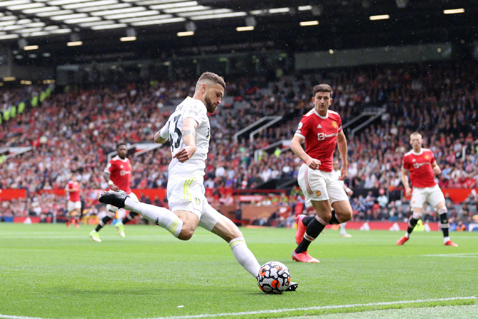 出了重要贡 出了重要贡